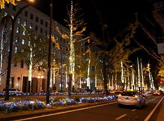 1324031719_photo.jpg