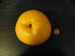 P1000360.JPG