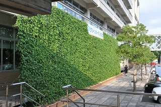 gcDSC_7613.jpg