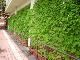 img_300001_55008189_2.jpeg