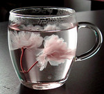 sakurainharbmug1.jpg
